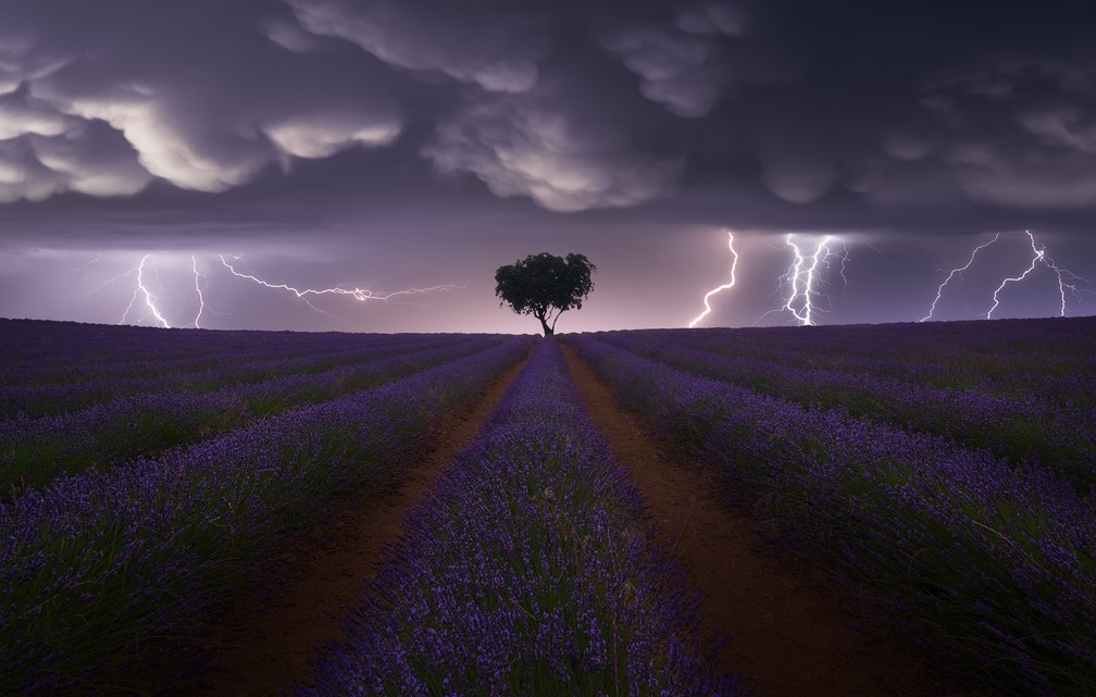 Paisagem: 'Electric Storm on Lavender', imagem que captura o momento em que raios atingem um campo florido de lavanda em Guadalajara, na Espanha — Foto: Juan López Ruiz (Espanha)/Sony World Photography Awards